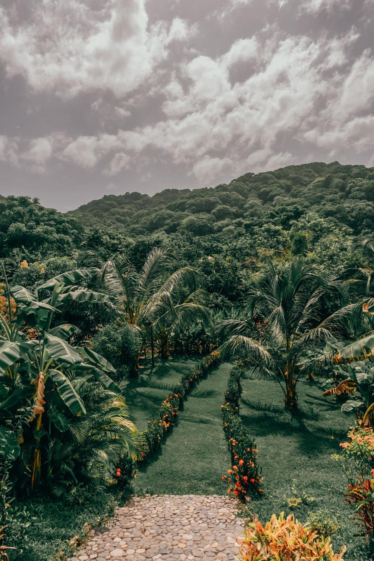 Hotel Magic Green Dentro Del Parque Tayrona El Zaino Esterno foto